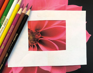 White piece of paper with the centre cut out is laid over an image of a flower, focusing on the centre.