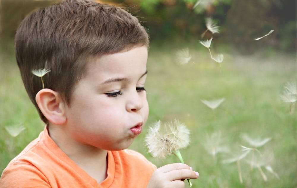 Photo of a boy blowing dandelion seeds.