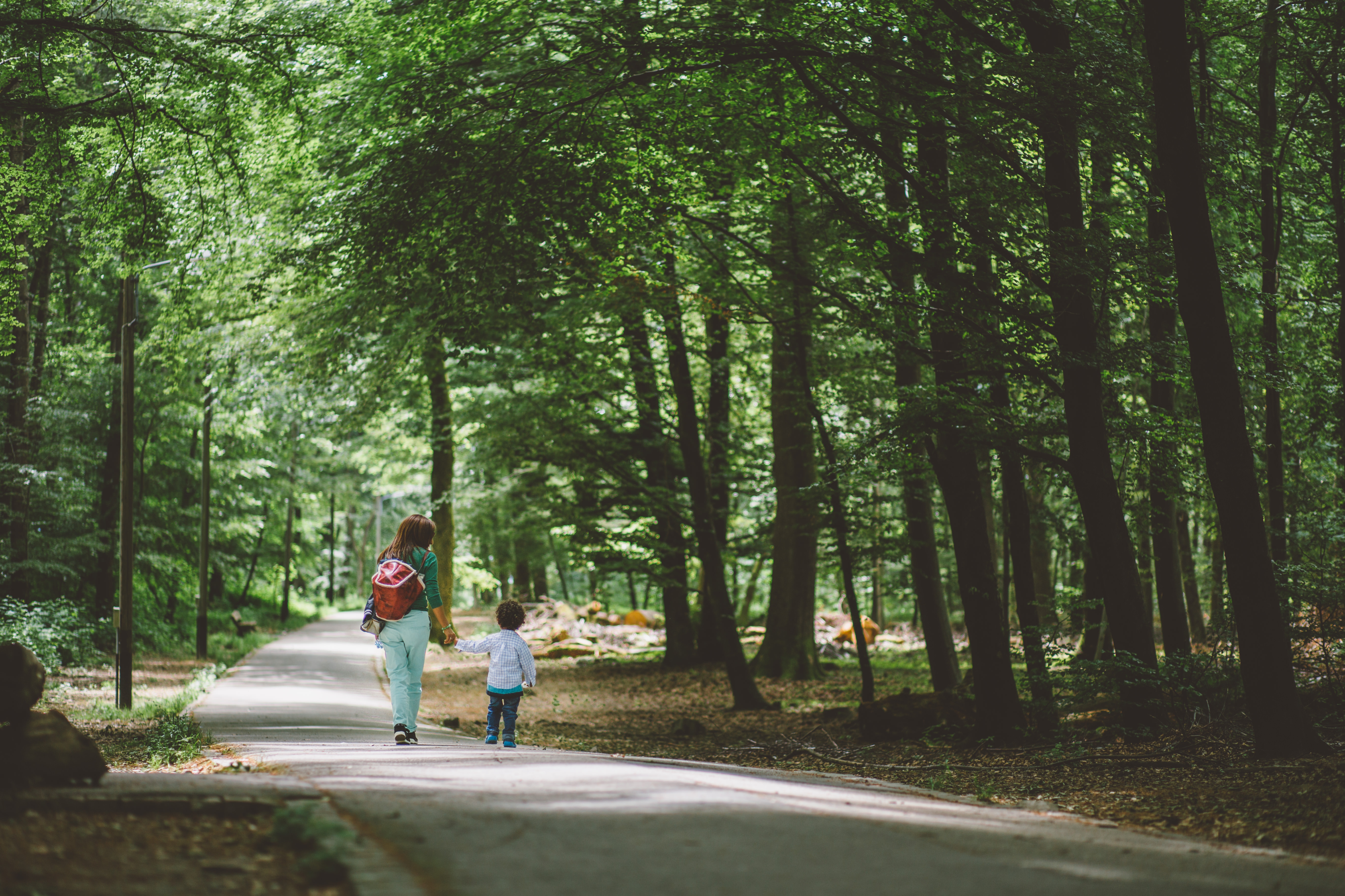 Mother and child walk hand-in-hand through a forested park.