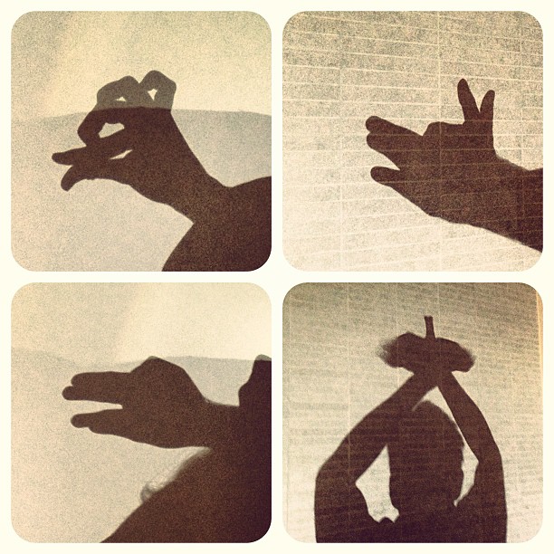 4 pictures of shadow puppets: peacock, bird, wolf, dinosaur