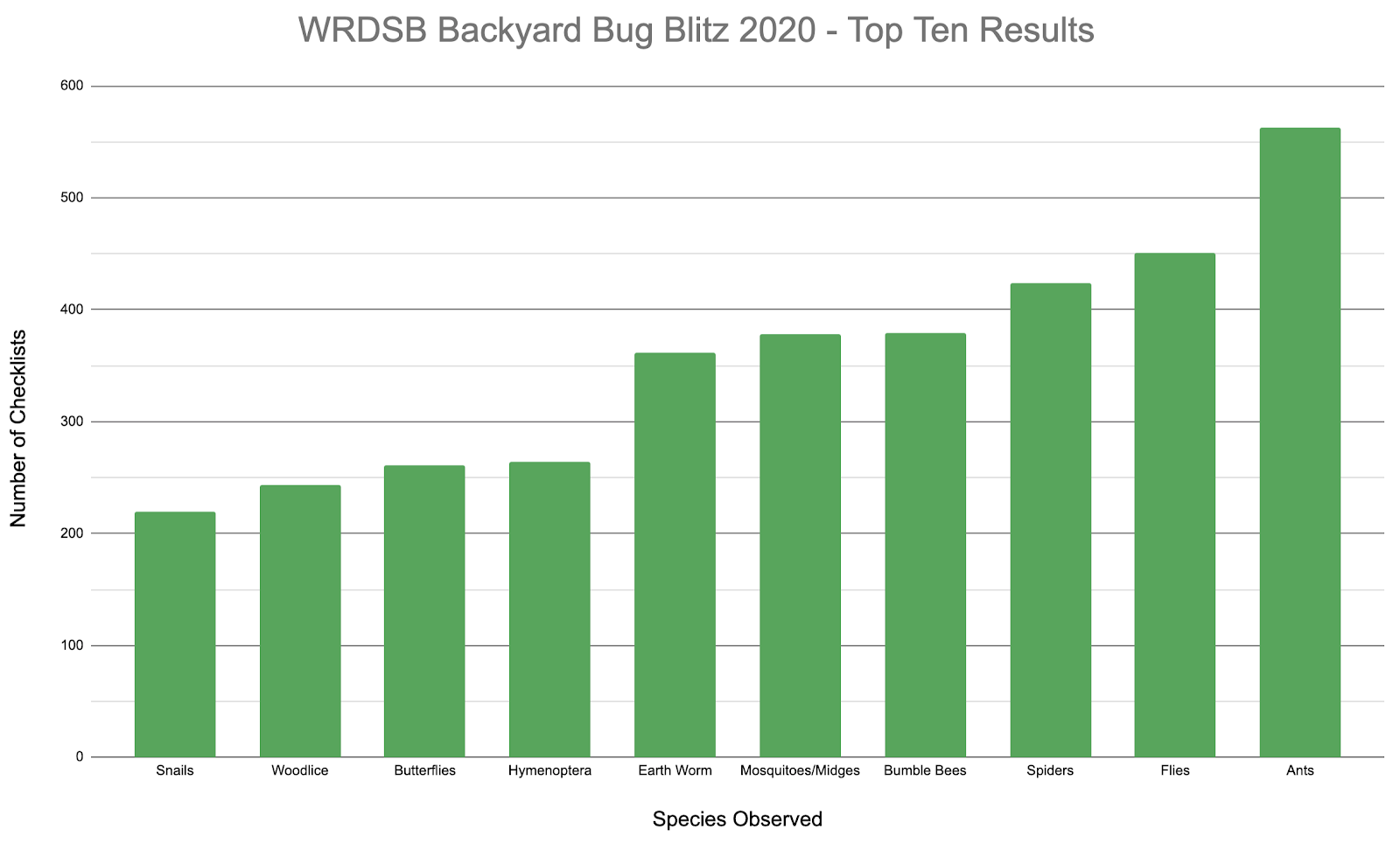 A bar graph displaying the number of checklist observations for the 10 most observed species in the WRDSB Backyard Bug Blitz. The bars display 220 observed snails, 243 observed woodlice, 261 observed butterflies, 264 observed hymenoptera, 362 observed earth worms, 378 observed mosquitoes and midges, 379 observed bumble bees, 424 observed spiders, 451 observed flies, and 563 observed ants.