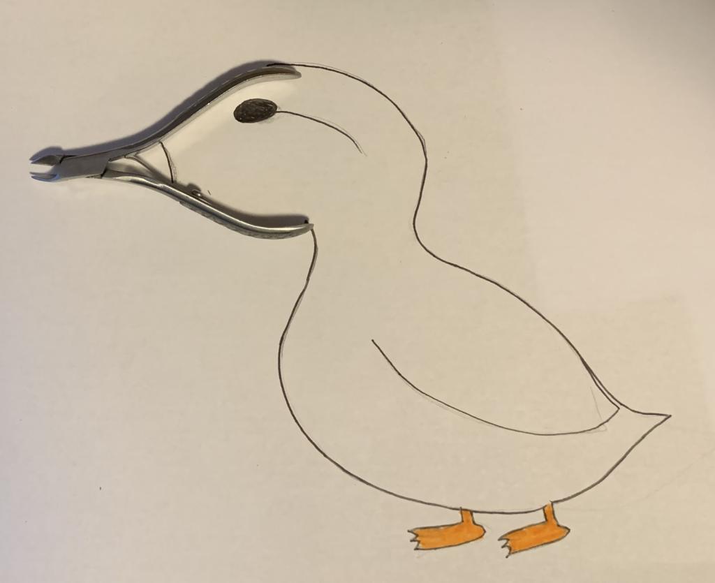First image is a duck drawn in pencil. The drawing is based on cuticle clippers which begin the shape of the head and beak.