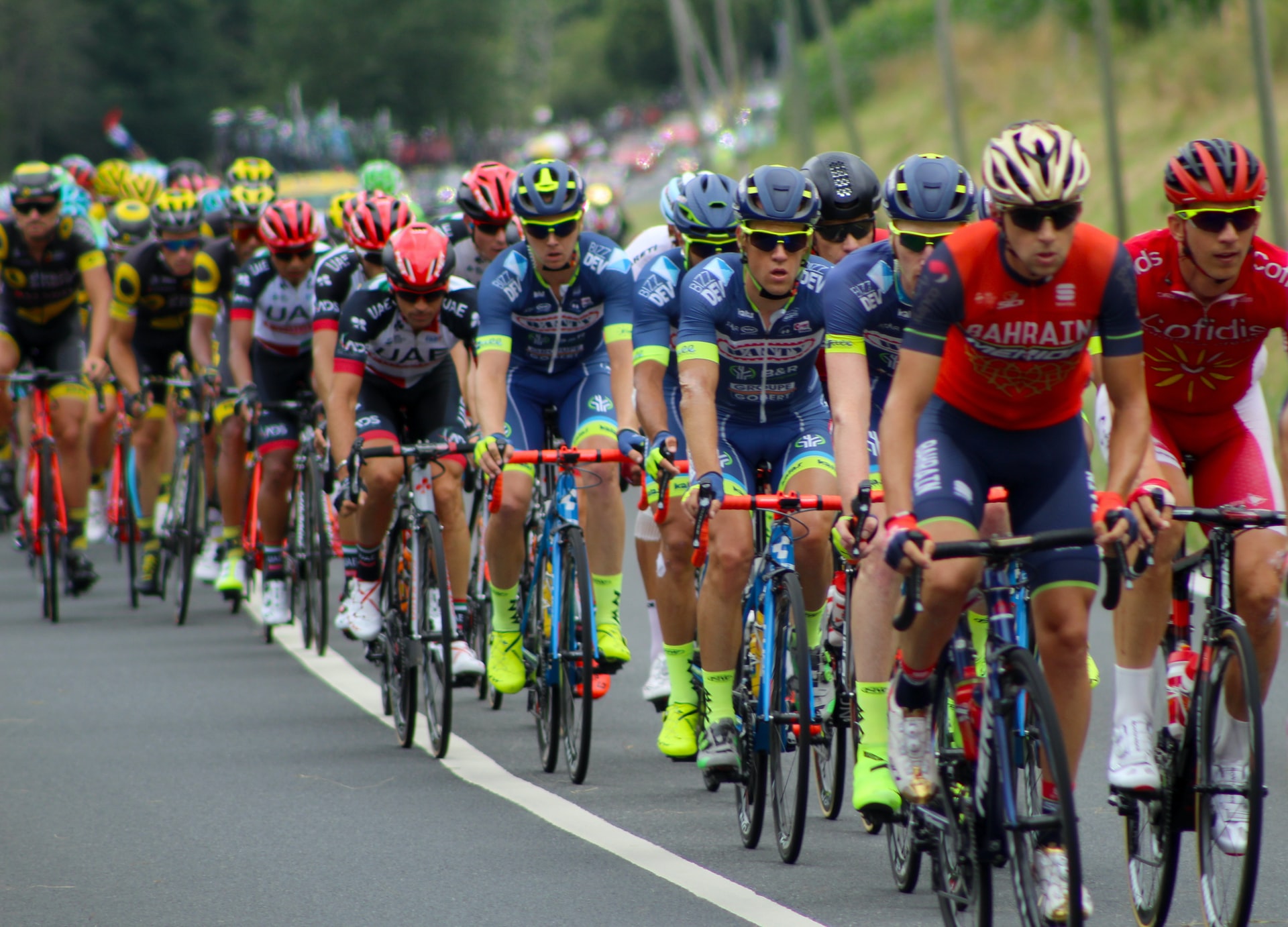 A very large group of male cyclists, racing bicycles along a roadway.