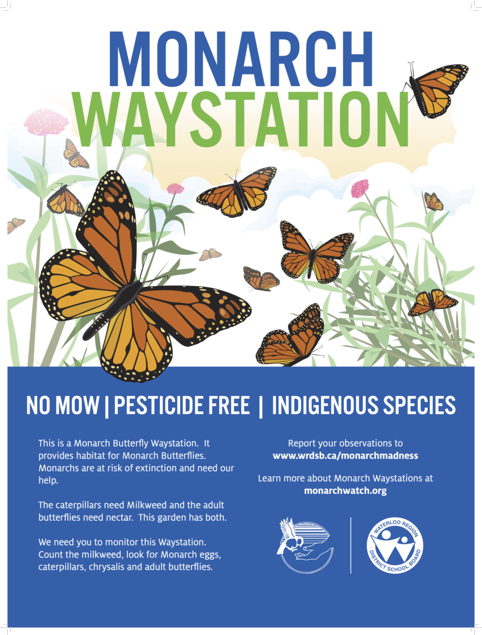 MONARCH WAYSTATIONS (Outdoor and Environmental Education)