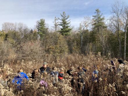 Students stand among brown wildflower stalks in the foreground. White pines and other tree species are visible in the background.