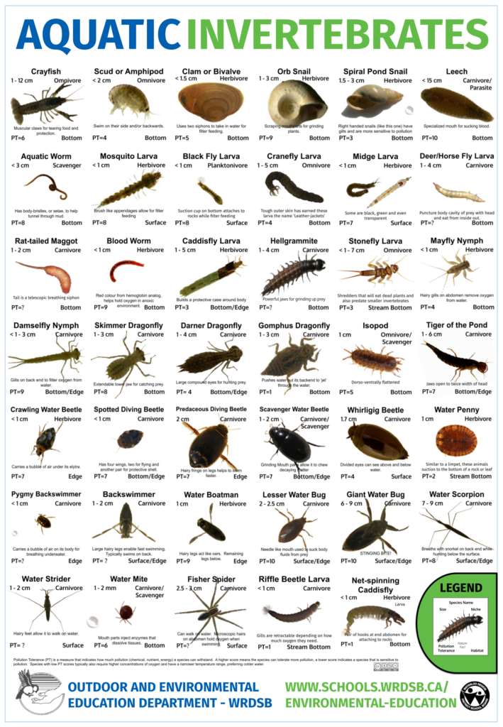 Resources (Outdoor and Environmental Education)