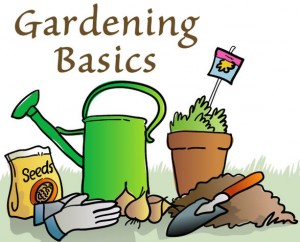 gardening_basics
