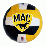 macgregor-mustangs-volleyball