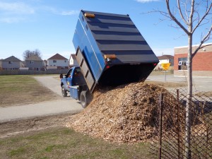 hydro dumping mulch