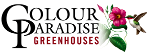 logo-colour-paradise
